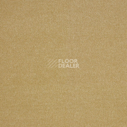 Ковролин AW Orseis Orseis 54 фото 1 | FLOORDEALER